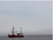 Fischer auf der Elbe