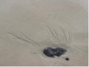 am Strand